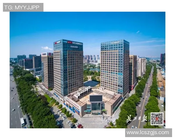 武汉排球队实力飙升创历史新高引发全国关注与期待